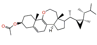 Ameristerenol B